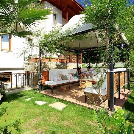 Summer Otel 4*